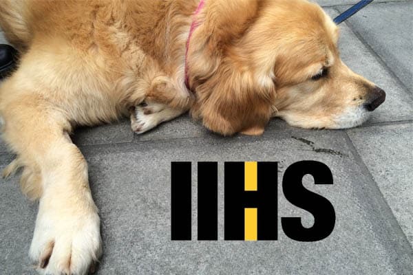 Is the IIHS an Auto Insurance Industry Lap Dog Asks Vehicle Safety Lawyer Todd Tracy