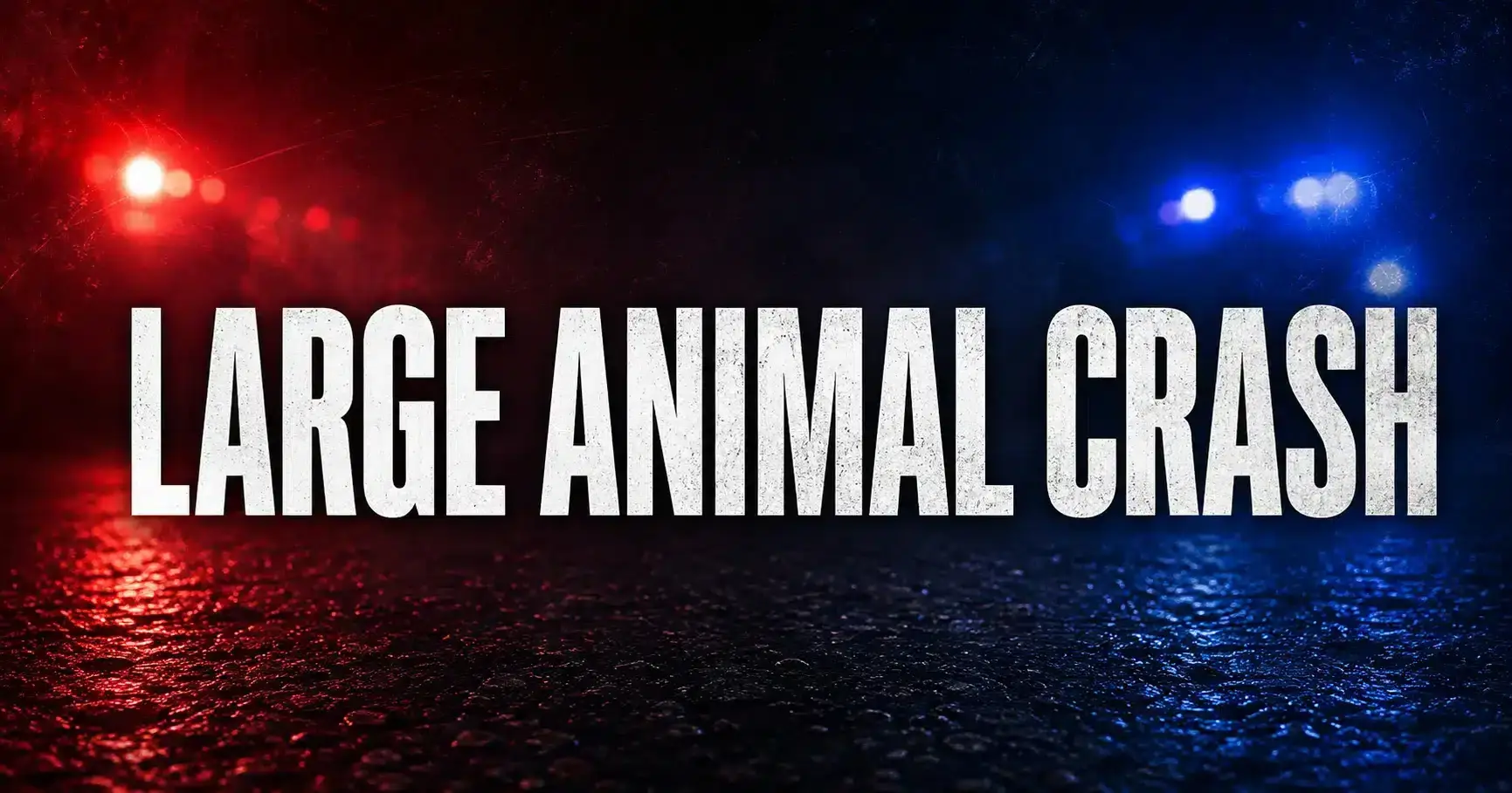 Large-Animal-Crash-banner